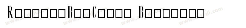 Roboto-BigClock Bold字体转换